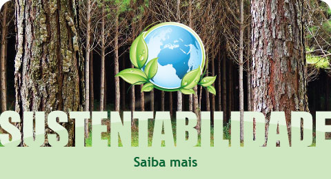 Sustentabilidade HB Pinus